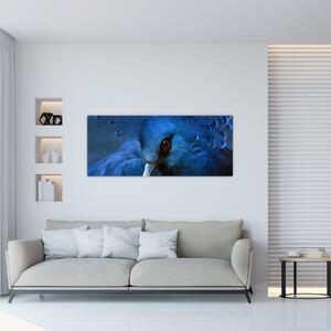 Kép - Koronás galamb (120x50 cm)