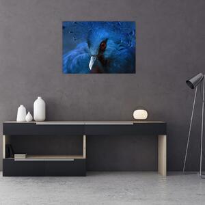 Kép - Koronás galamb (70x50 cm)