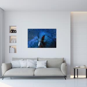 Kép - Koronás galamb (90x60 cm)