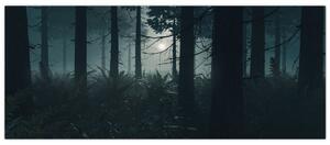 Kép - Páfrányok a holdfényben (120x50 cm)