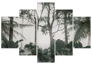 Kép - dzsungel a reggeli ködben (150x105 cm)