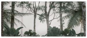 Kép - dzsungel a reggeli ködben (120x50 cm)
