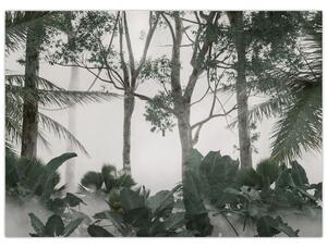 Kép - dzsungel a reggeli ködben (70x50 cm)