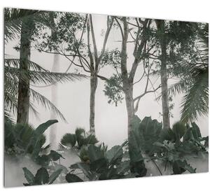 Kép - dzsungel a reggeli ködben (70x50 cm)