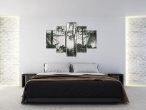 Kép - dzsungel a reggeli ködben (150x105 cm)