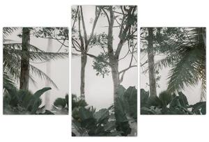 Kép - dzsungel a reggeli ködben (90x60 cm)