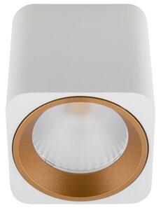 MaxLight C0156 LAMPA SUFITOWA TUB KWADRAT BIAŁY+ PIERŚCIEŃ OZDOBNY BIAŁY RC0155/C0156 WHITE - MAX-C0156