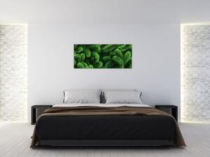 Kép - Tűlevelű gallyak (120x50 cm)