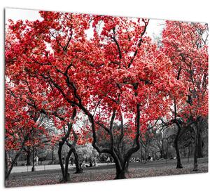 Kép - vörös fák, Central Park, New York (70x50 cm)