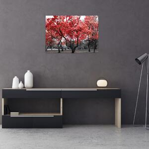 Kép - vörös fák, Central Park, New York (70x50 cm)