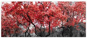 Kép - vörös fák, Central Park, New York (120x50 cm)