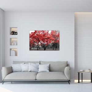 Kép - vörös fák, Central Park, New York (90x60 cm)