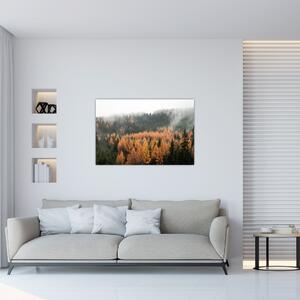 Kép - őszi erdő (90x60 cm)