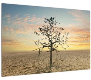 Kép - fa a sivatagban (90x60 cm)