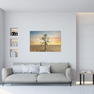 Kép - fa a sivatagban (90x60 cm)