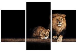 Kép - oroszlán és a nőstény oroszlán (90x60 cm)
