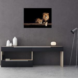 Kép - oroszlán és a nőstény oroszlán (70x50 cm)