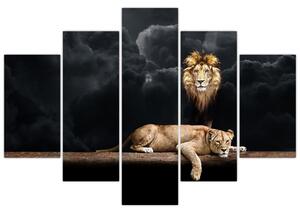 Kép - oroszlán és a nőstény oroszlán a felhőkben (150x105 cm)