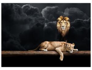 Kép - oroszlán és a nőstény oroszlán a felhőkben (70x50 cm)