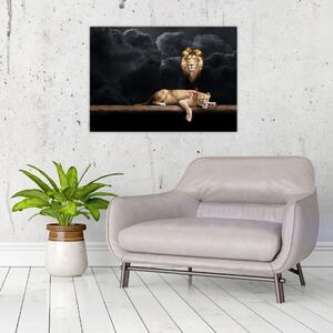 Kép - oroszlán és a nőstény oroszlán a felhőkben (70x50 cm)