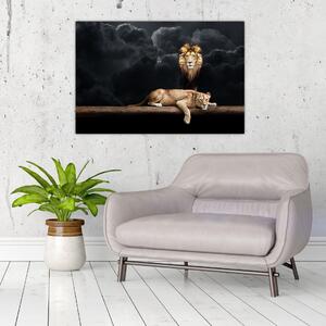 Kép - oroszlán és a nőstény oroszlán a felhőkben (90x60 cm)