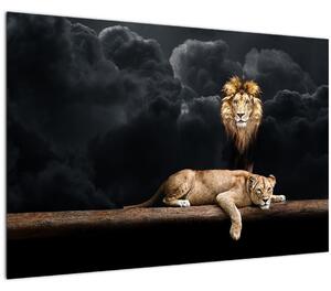 Kép - oroszlán és a nőstény oroszlán a felhőkben (90x60 cm)