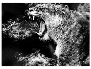 Kép - nőstény oroszlán portré (70x50 cm)