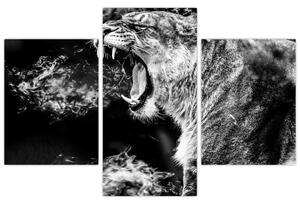 Kép - nőstény oroszlán portré (90x60 cm)
