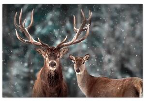 Kép - szarvas és őzike egy havas erdőben (90x60 cm)