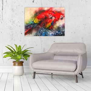 Vörös ara papagájok képe (70x50 cm)