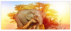 Afrikai állatok képe (120x50 cm)