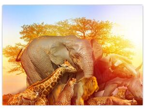 Afrikai állatok képe (70x50 cm)