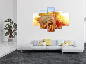 Afrikai állatok képe (150x105 cm)