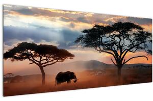 Kép - Serengeti Nemzeti Park, Tanzánia, Afrika (120x50 cm)