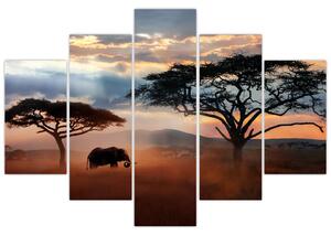 Kép - Serengeti Nemzeti Park, Tanzánia, Afrika (150x105 cm)