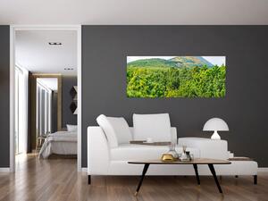 Kép - Babi Hora, Lengyelország (120x50 cm)