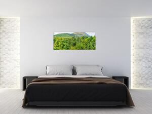 Kép - Babi Hora, Lengyelország (120x50 cm)