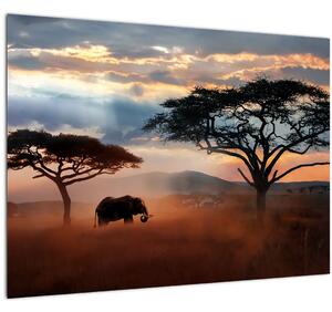 Kép - Serengeti Nemzeti Park, Tanzánia, Afrika (70x50 cm)