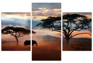 Kép - Serengeti Nemzeti Park, Tanzánia, Afrika (90x60 cm)