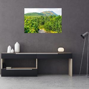 Kép - Babi Hora, Lengyelország (90x60 cm)