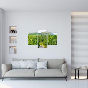 Kép - Babi Hora, Lengyelország (90x60 cm)