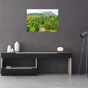Kép - Babi Hora, Lengyelország (70x50 cm)