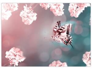Kép - pillangó a virágok között (70x50 cm)