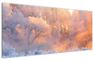 Kép - fagyos hajnal (120x50 cm)