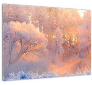 Kép - fagyos hajnal (70x50 cm)