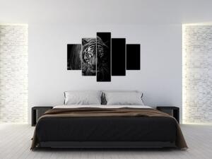Egy vadtigris képe (150x105 cm)