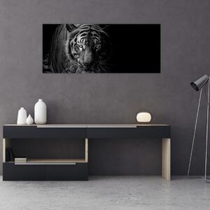 Egy vadtigris képe (120x50 cm)