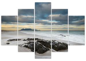 Kép - Robben Island (150x105 cm)
