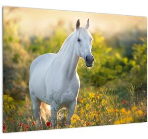 Egy fehér ló képe a réten (70x50 cm)