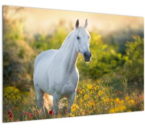 Egy fehér ló képe a réten (90x60 cm)
